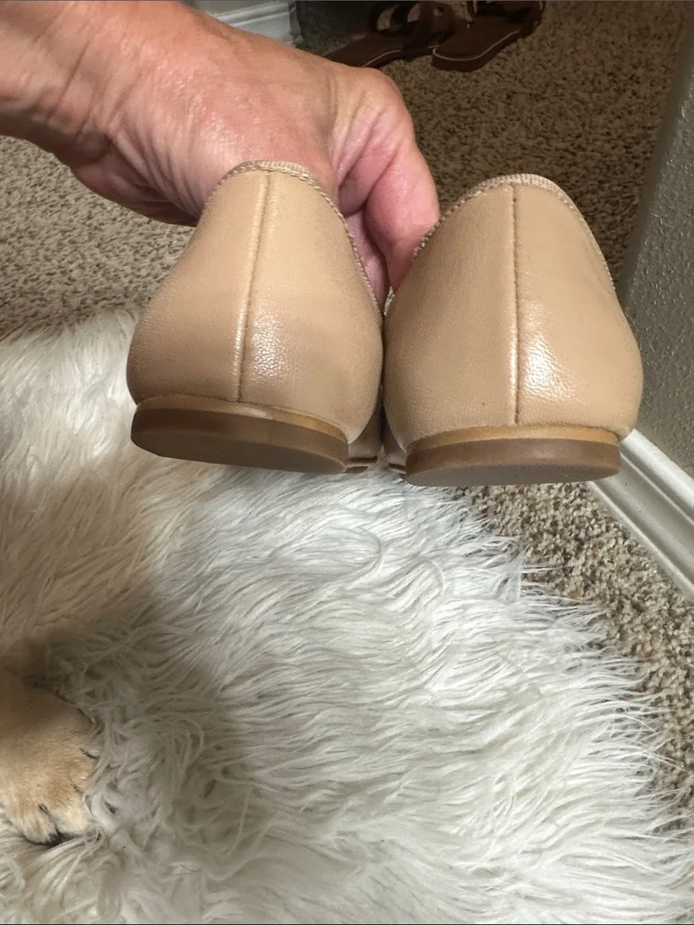 Tory Burch Nude/Taupe Leather Bow Ballet Flats with Logo Discs